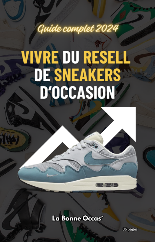 Ebook : Vivre du Resell de Sneakers d'occasion !